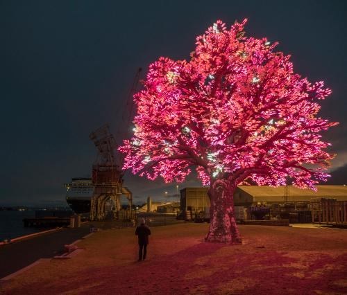 The art tree from Norway Oslo Aker Brygge
