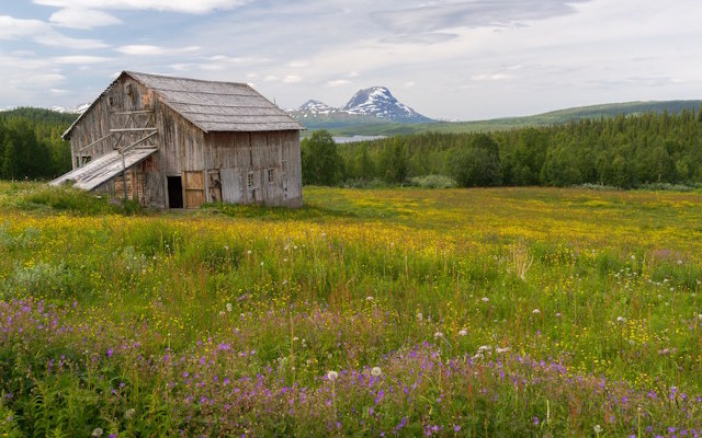 Farmhouse in summer — original photo