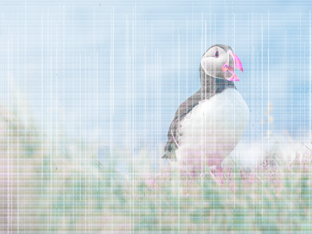 Puffin converted to being printed with low ink